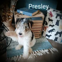 processed/860a8c25-33db-42c7-a51e-5b54a95f3d3b/facility/ba25fdf3-c4d5-4b92-80ae-f16a9338a43a