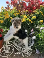 processed/860a8c25-33db-42c7-a51e-5b54a95f3d3b/facility/d18f2ead-3bb9-4dc2-bdfa-0ed66bc739ed