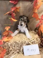 processed/860a8c25-33db-42c7-a51e-5b54a95f3d3b/facility/ed762a71-fe8c-449b-9d7e-e44b20a3a604