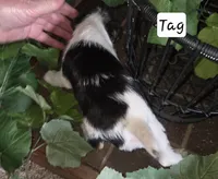 processed/860a8c25-33db-42c7-a51e-5b54a95f3d3b/listing/1924565b-0737-4066-870e-7e4cce6c2e56/60d30e2e-ee9f-47d7-bc21-b19e0eb7b544