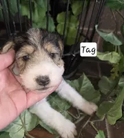 processed/860a8c25-33db-42c7-a51e-5b54a95f3d3b/listing/1924565b-0737-4066-870e-7e4cce6c2e56/699f3b41-3b48-4e0c-b773-ed432b19c50f