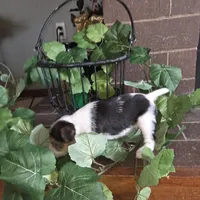 processed/860a8c25-33db-42c7-a51e-5b54a95f3d3b/listing/1924565b-0737-4066-870e-7e4cce6c2e56/d78768a9-47ee-4005-b051-8e2d9c9bf81e