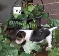 processed/860a8c25-33db-42c7-a51e-5b54a95f3d3b/listing/1924565b-0737-4066-870e-7e4cce6c2e56/f4d5388d-49bb-49ac-b181-d7239d9afca1