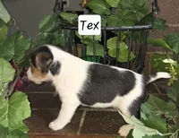 processed/860a8c25-33db-42c7-a51e-5b54a95f3d3b/listing/2549a350-0495-4fc3-80d1-522dfcb122cf/0e242584-14d9-474b-82d2-5af320c8cd68