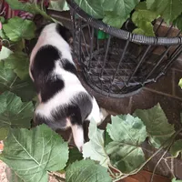 processed/860a8c25-33db-42c7-a51e-5b54a95f3d3b/listing/2549a350-0495-4fc3-80d1-522dfcb122cf/84c33baa-ee91-4763-9fe1-5a74744b53d3