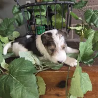 processed/860a8c25-33db-42c7-a51e-5b54a95f3d3b/listing/2549a350-0495-4fc3-80d1-522dfcb122cf/8b401972-3fba-4ee8-a8b7-9c6bd23a5cad