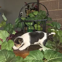 processed/860a8c25-33db-42c7-a51e-5b54a95f3d3b/listing/2549a350-0495-4fc3-80d1-522dfcb122cf/b02cdcad-b995-45f2-88da-d5b09188bdb6