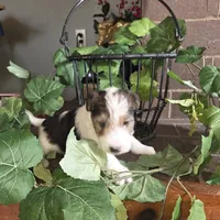 processed/860a8c25-33db-42c7-a51e-5b54a95f3d3b/listing/2549a350-0495-4fc3-80d1-522dfcb122cf/bba5ef54-cc68-4aeb-9394-7957f8b8e721