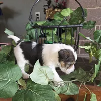 processed/860a8c25-33db-42c7-a51e-5b54a95f3d3b/listing/2549a350-0495-4fc3-80d1-522dfcb122cf/fcbf6c6a-ebc3-40de-85c7-f5f06b749e59