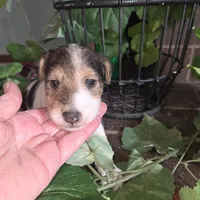 processed/860a8c25-33db-42c7-a51e-5b54a95f3d3b/listing/50d193b1-8e2c-4e8b-afca-615db158e592/1bc284db-04b6-4f56-8e77-fee2ffb5e27e