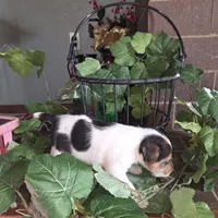 processed/860a8c25-33db-42c7-a51e-5b54a95f3d3b/listing/50d193b1-8e2c-4e8b-afca-615db158e592/2d3bb01c-e832-4838-bb63-1f5dbadd8339