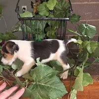 processed/860a8c25-33db-42c7-a51e-5b54a95f3d3b/listing/50d193b1-8e2c-4e8b-afca-615db158e592/ff561258-0dd5-4910-8bb3-9f4d82213f73