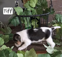 processed/860a8c25-33db-42c7-a51e-5b54a95f3d3b/listing/6a102866-41af-48c6-9fc1-d69380b1f14a/0451628b-410e-4125-9914-55661a24f2bf