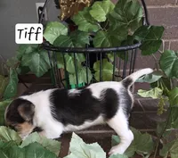 processed/860a8c25-33db-42c7-a51e-5b54a95f3d3b/listing/6a102866-41af-48c6-9fc1-d69380b1f14a/091545da-5a43-4b6e-b676-4e5bc1cd859c