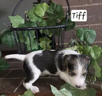 processed/860a8c25-33db-42c7-a51e-5b54a95f3d3b/listing/6a102866-41af-48c6-9fc1-d69380b1f14a/15cc07c9-eabc-4c3c-b1b0-f0ec7eff63a3