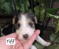 processed/860a8c25-33db-42c7-a51e-5b54a95f3d3b/listing/6a102866-41af-48c6-9fc1-d69380b1f14a/1a5a737b-04e0-4bdf-b13c-1b9d9da9b035