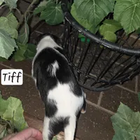 processed/860a8c25-33db-42c7-a51e-5b54a95f3d3b/listing/6a102866-41af-48c6-9fc1-d69380b1f14a/1e740c1a-6ef4-418b-ad0f-65175166a39a