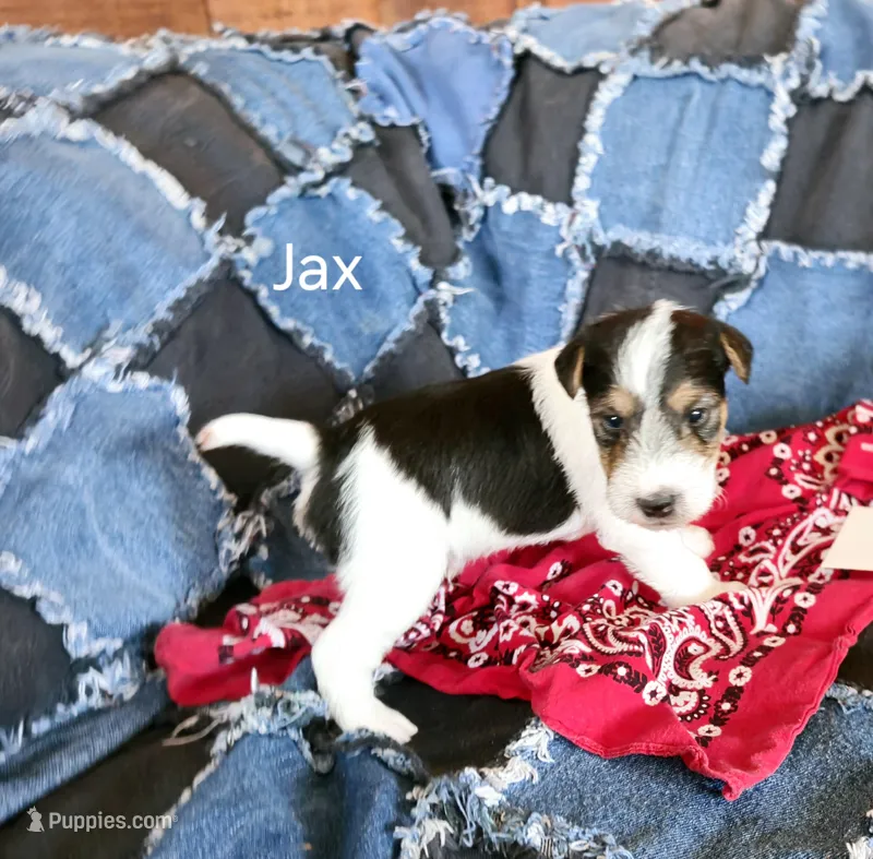Jax