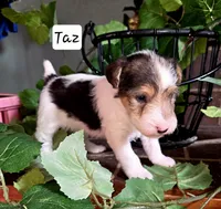 processed/860a8c25-33db-42c7-a51e-5b54a95f3d3b/listing/7437ceb8-1056-4335-9174-5ee70405b336/2a1a3150-19c1-4871-a39e-3f336251bfc4