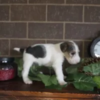 processed/860a8c25-33db-42c7-a51e-5b54a95f3d3b/listing/7437ceb8-1056-4335-9174-5ee70405b336/35ba024b-9a31-4469-893f-aa989cb14408