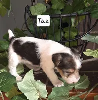 processed/860a8c25-33db-42c7-a51e-5b54a95f3d3b/listing/7437ceb8-1056-4335-9174-5ee70405b336/bf7468f2-3966-4108-8650-8ecdfacda5be