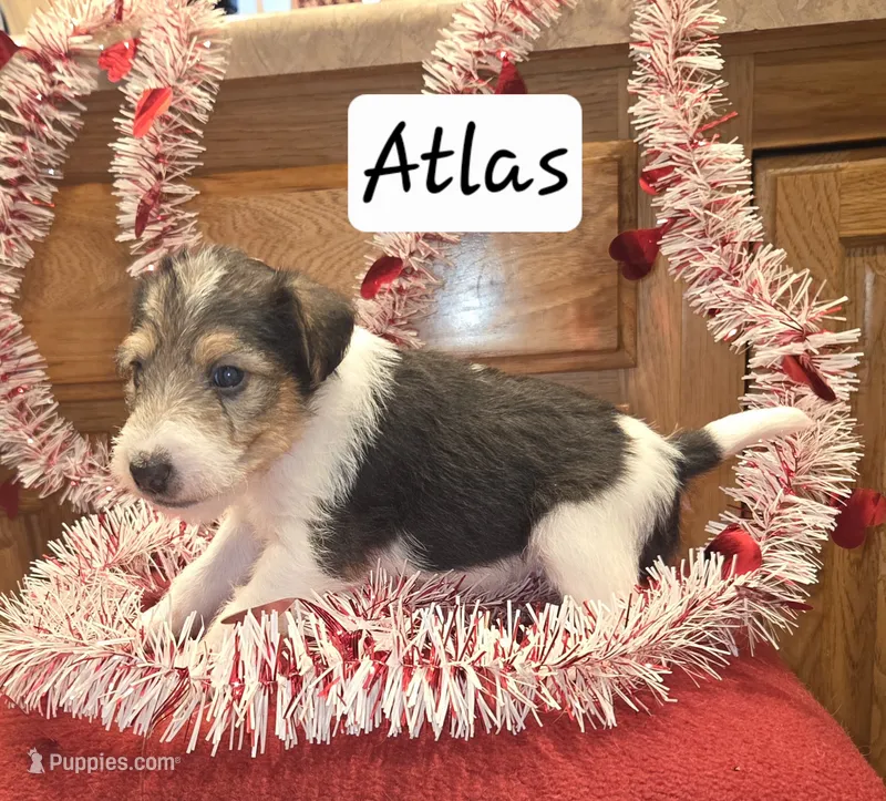 Atlas