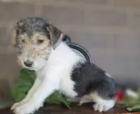 processed/860a8c25-33db-42c7-a51e-5b54a95f3d3b/listing/b208ad33-1119-4151-8279-cd572f37b242/5303cd72-9bbe-49c1-bbf5-fd5876a87785