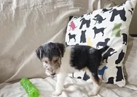 processed/860a8c25-33db-42c7-a51e-5b54a95f3d3b/listing/b208ad33-1119-4151-8279-cd572f37b242/58f7d56c-bbc0-48cf-910c-396eca576807