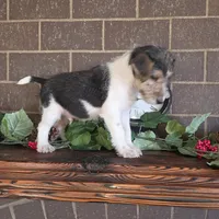 processed/860a8c25-33db-42c7-a51e-5b54a95f3d3b/listing/b208ad33-1119-4151-8279-cd572f37b242/63ca3ce0-1601-4aa7-875c-8c49a395a6c4