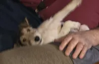 processed/860a8c25-33db-42c7-a51e-5b54a95f3d3b/listing/b208ad33-1119-4151-8279-cd572f37b242/6d72eabd-00b5-4699-b2e0-09d6321e8cc8