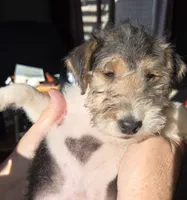 processed/860a8c25-33db-42c7-a51e-5b54a95f3d3b/listing/b208ad33-1119-4151-8279-cd572f37b242/7fa84d40-1b13-41af-8249-99fda67ff5c5