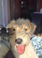 processed/860a8c25-33db-42c7-a51e-5b54a95f3d3b/listing/b208ad33-1119-4151-8279-cd572f37b242/b4f6c61c-f744-4394-9325-14f6ca21389c