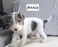 processed/860a8c25-33db-42c7-a51e-5b54a95f3d3b/listing/d8f714b5-5d4b-404f-971a-194d921749fe/33e0e11a-12ce-462a-bdcd-631e8eac2da6