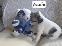 processed/860a8c25-33db-42c7-a51e-5b54a95f3d3b/listing/d8f714b5-5d4b-404f-971a-194d921749fe/3d4ebef8-f871-4166-8c1b-4f91a9b1a051