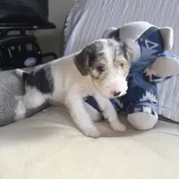 processed/860a8c25-33db-42c7-a51e-5b54a95f3d3b/listing/d8f714b5-5d4b-404f-971a-194d921749fe/5207c465-b033-40ae-99b0-f11efefbcfba