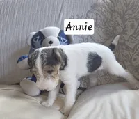 processed/860a8c25-33db-42c7-a51e-5b54a95f3d3b/listing/d8f714b5-5d4b-404f-971a-194d921749fe/7a9207e3-e75a-4ea4-bb64-f37c0cc9432f