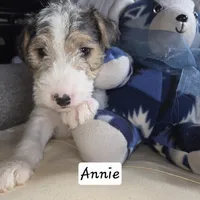 processed/860a8c25-33db-42c7-a51e-5b54a95f3d3b/listing/d8f714b5-5d4b-404f-971a-194d921749fe/a1a8e58d-00d2-4062-8f3f-8a5cb54adcfb