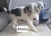 processed/860a8c25-33db-42c7-a51e-5b54a95f3d3b/listing/d8f714b5-5d4b-404f-971a-194d921749fe/efa9f01c-9c1f-46fc-8597-bd44b8c0d58b