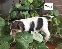 processed/860a8c25-33db-42c7-a51e-5b54a95f3d3b/listing/dd74885b-4e12-4194-ac26-9cfb332cb7ba/31930f22-3627-4052-89dd-bca933f65949