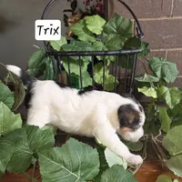 processed/860a8c25-33db-42c7-a51e-5b54a95f3d3b/listing/dd74885b-4e12-4194-ac26-9cfb332cb7ba/8ff6174c-1976-4ad3-859e-df01067eedaa