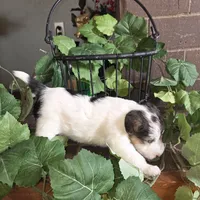 processed/860a8c25-33db-42c7-a51e-5b54a95f3d3b/listing/dd74885b-4e12-4194-ac26-9cfb332cb7ba/be27cd31-6b7c-46c3-a80b-f5424a10e4f6