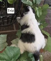 processed/860a8c25-33db-42c7-a51e-5b54a95f3d3b/listing/dd74885b-4e12-4194-ac26-9cfb332cb7ba/ccb47fb6-d6d7-4912-ad8d-6cc484adef98