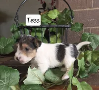 processed/860a8c25-33db-42c7-a51e-5b54a95f3d3b/listing/ea6fcc7c-9707-45d3-a231-46126e6cf8b4/4146adc9-7be5-402a-9017-1adfb63002d3