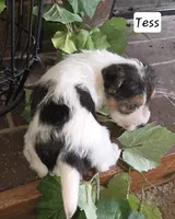 processed/860a8c25-33db-42c7-a51e-5b54a95f3d3b/listing/ea6fcc7c-9707-45d3-a231-46126e6cf8b4/fe264709-a601-47a8-8ef1-f09aa4506fae