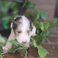 processed/860a8c25-33db-42c7-a51e-5b54a95f3d3b/listing/fd48d499-faa8-4c22-8fb2-88638d829699/21ae7558-86bd-4043-a97a-533c1e70b518