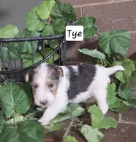 processed/860a8c25-33db-42c7-a51e-5b54a95f3d3b/listing/fd48d499-faa8-4c22-8fb2-88638d829699/51527277-7222-4b49-9d28-4a980fca4da0