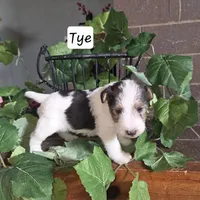 processed/860a8c25-33db-42c7-a51e-5b54a95f3d3b/listing/fd48d499-faa8-4c22-8fb2-88638d829699/9a00c3c7-cc70-46e4-bb77-55ce167f4515