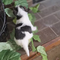 processed/860a8c25-33db-42c7-a51e-5b54a95f3d3b/listing/fd48d499-faa8-4c22-8fb2-88638d829699/f835e981-6ad2-4f0a-8bca-482455dcddca