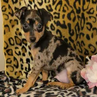 processed/8613c23e-bed6-4151-8689-d588d6de8278/facility/30d6a961-b461-4201-adfa-e336f8d993b1