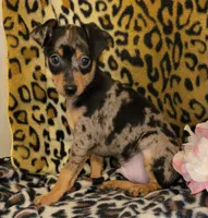 processed/8613c23e-bed6-4151-8689-d588d6de8278/facility/30d6a961-b461-4201-adfa-e336f8d993b1